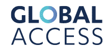 logo Global Access